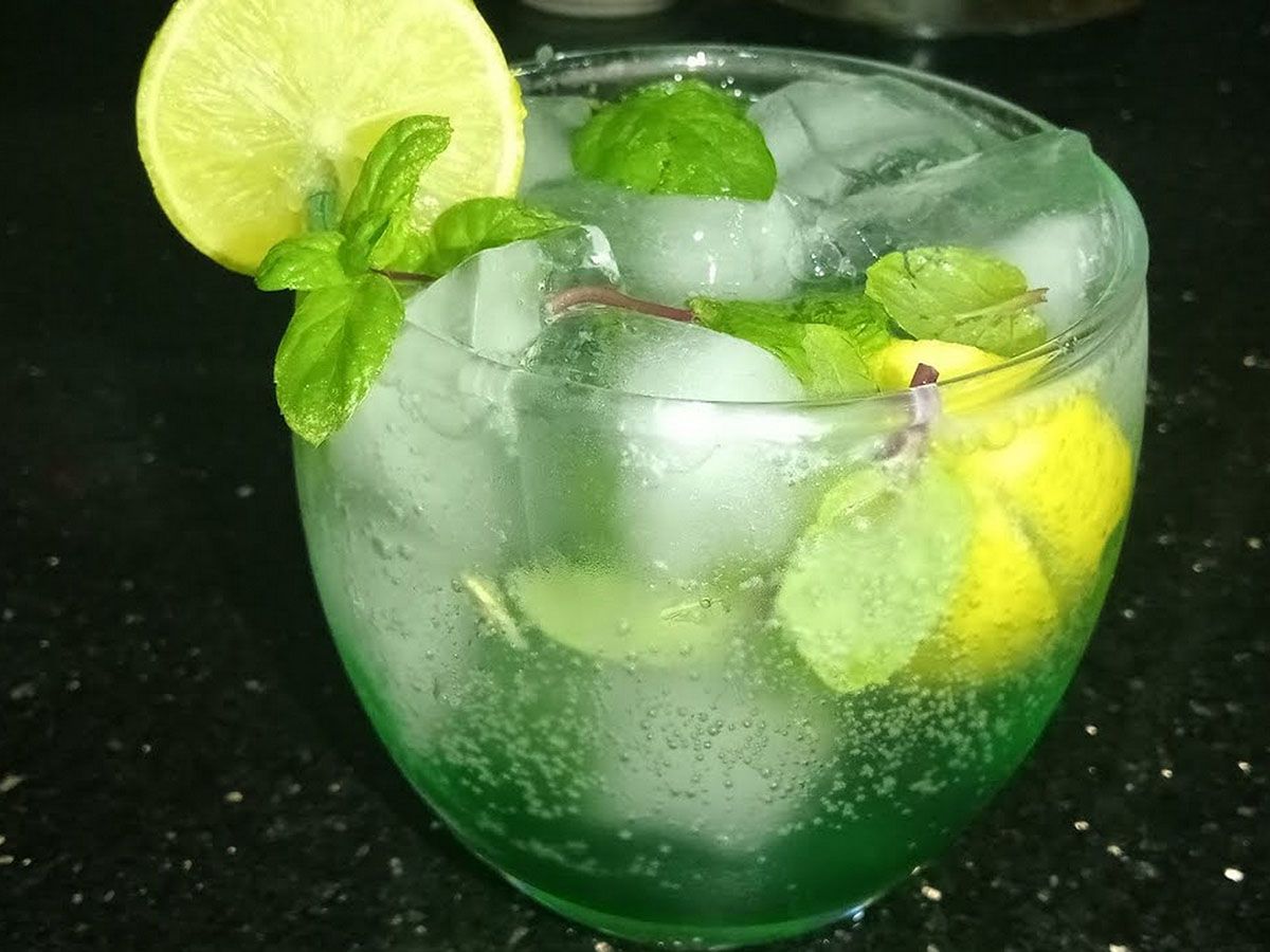 Scotch Mint