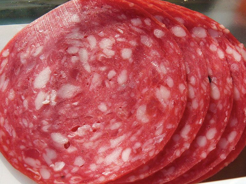 Salami
