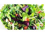 rocca salad