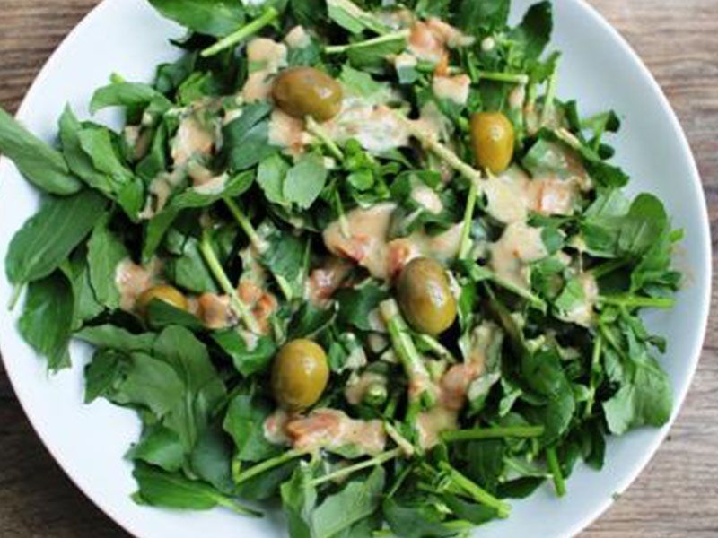 Rocca Salad