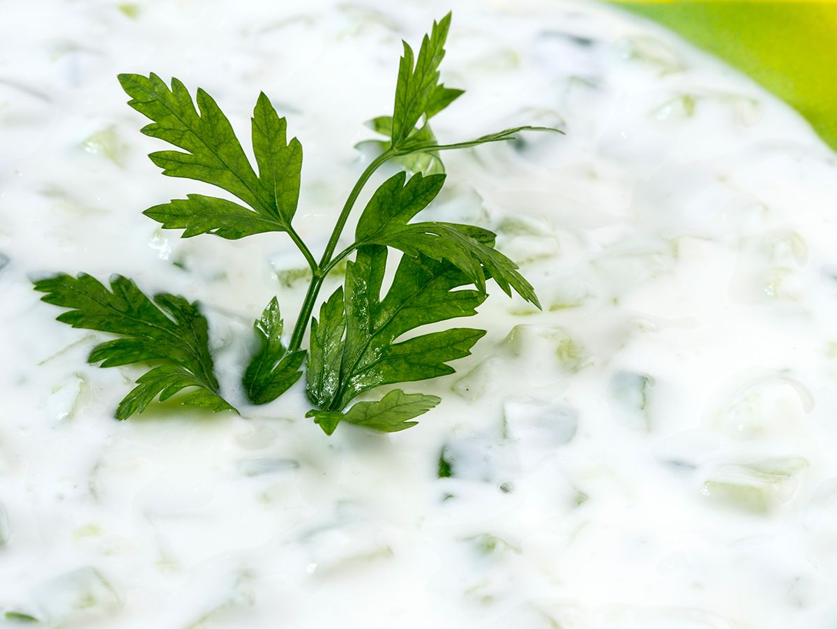 Cucumber Yogurt Salad