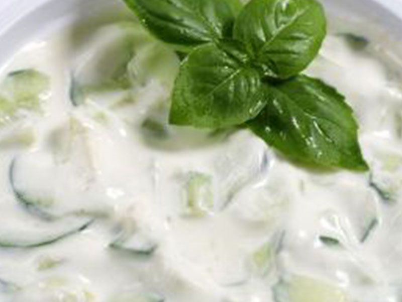 Yogurt And Cucumber Salad