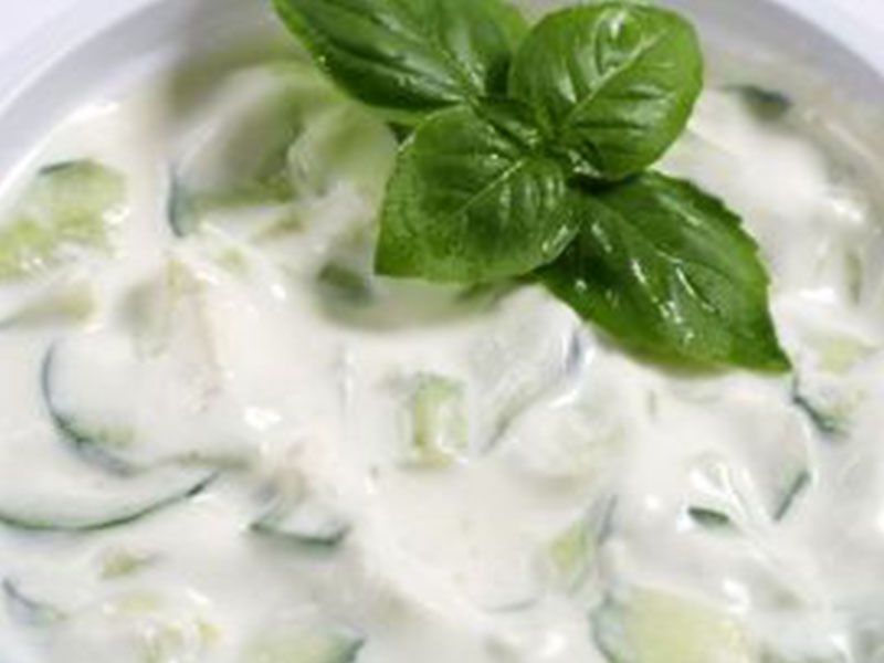 Yogurt Salad