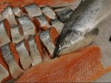 Salmon Grill