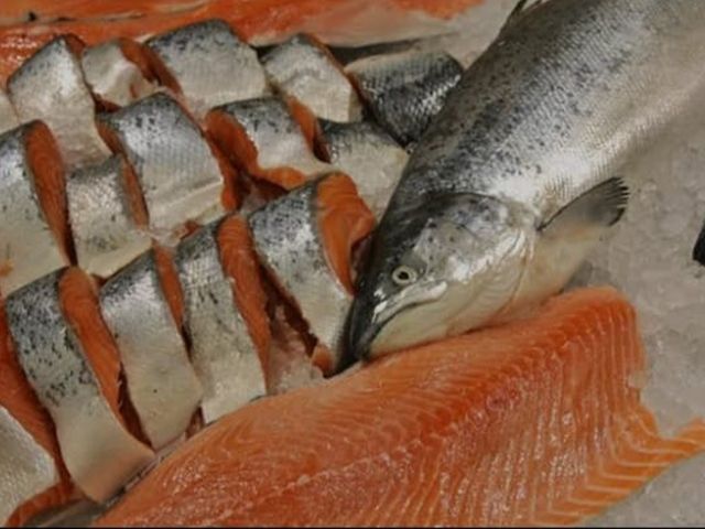 Salmon Grill