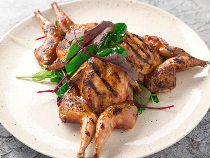 Grilled Quail