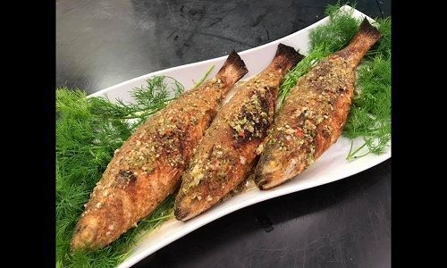 Keeled Mullet Fish