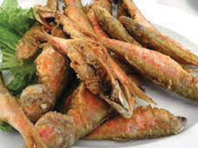 Red Mullet Fish
