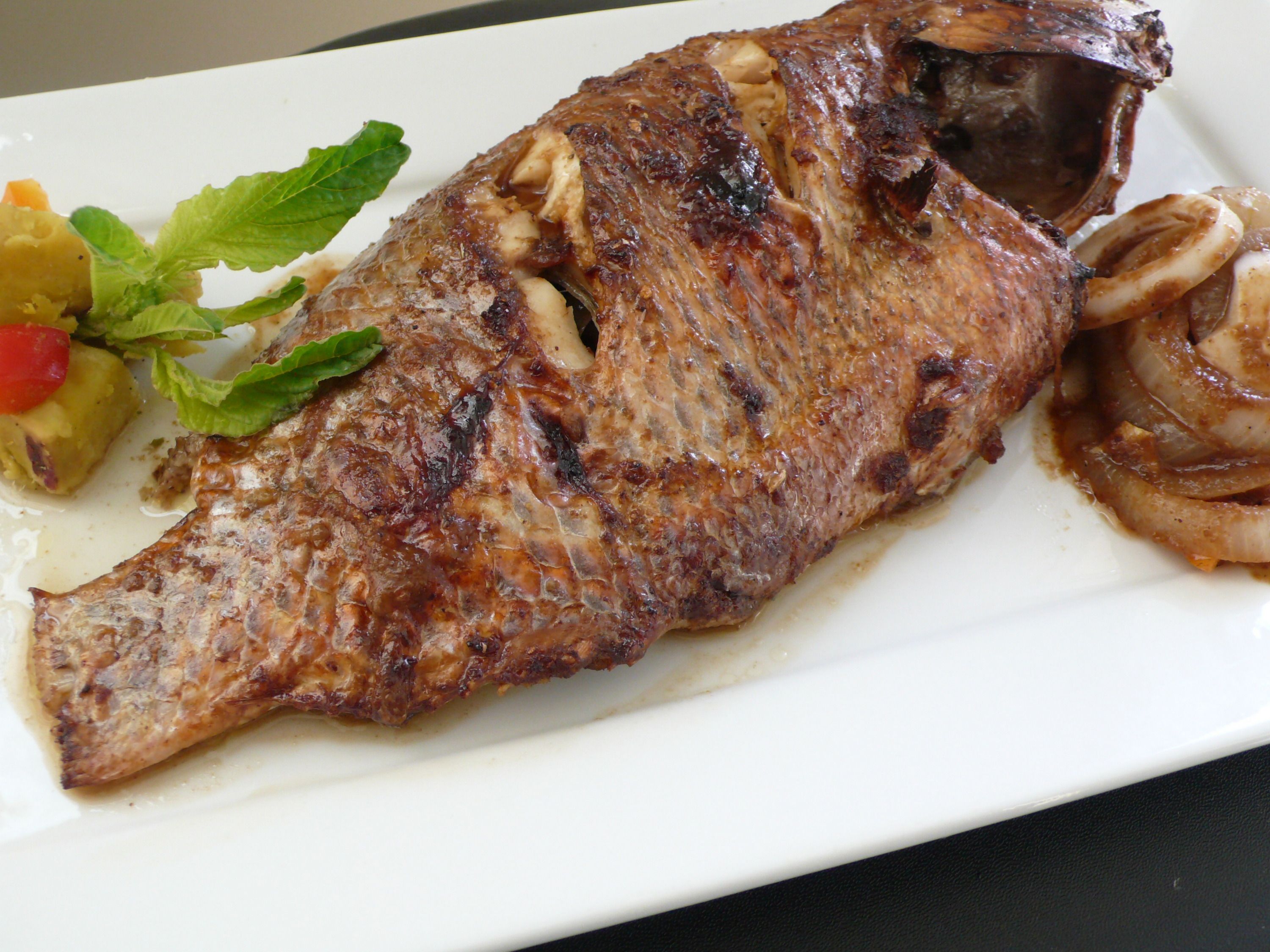 Tilapia Fish