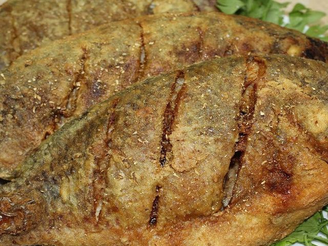 Tilapia Fish