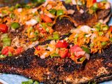 Tilapia Fish