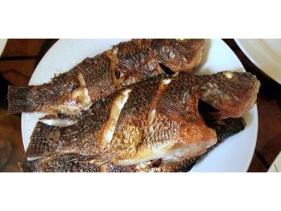 Tilapia Fish Meal