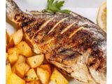 Tilapia Fish