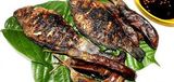 Grilled Tilapia Fish