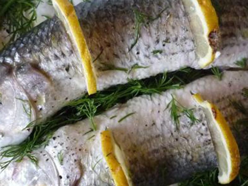 Grey Mullet Fish