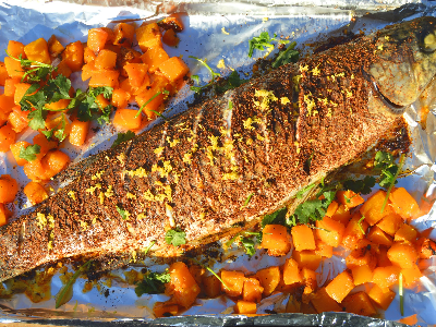 Grey Mullet Fish Meal