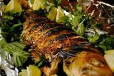 Grilled Grey Mullet Fish