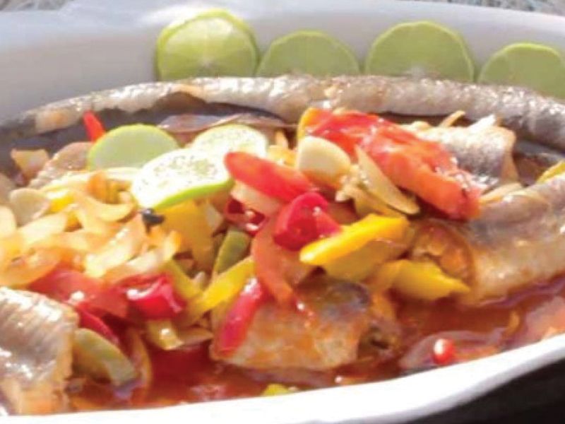 Eel Fish