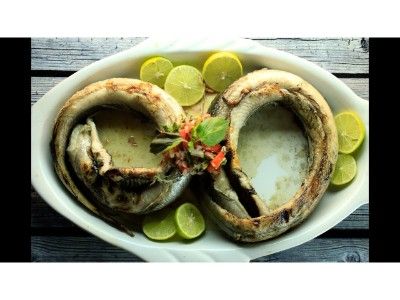 Eel Fish