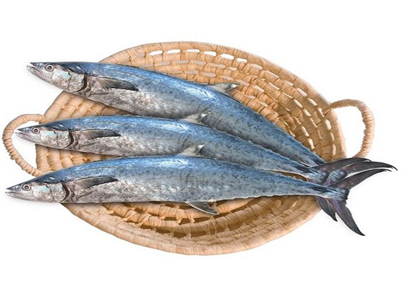 King fish