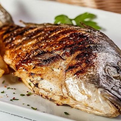Croaker Fish