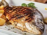 Gilthead Bream Fish