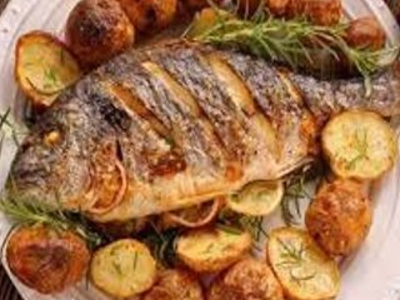 Gilthead Bream Fish