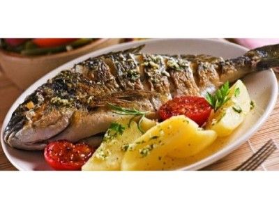 Gilthead Bream Fish