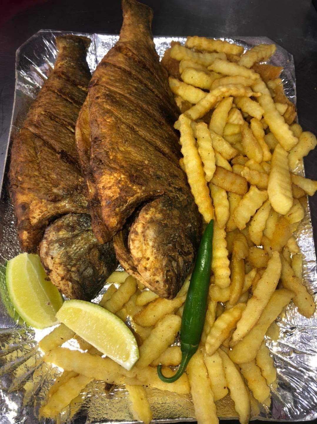 Gilthead Bream Fish
