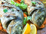 Gilthead Bream Fish