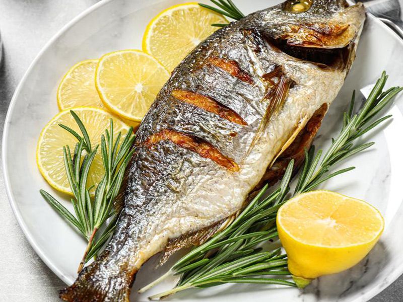 Gilthead Bream Fish - Grilled