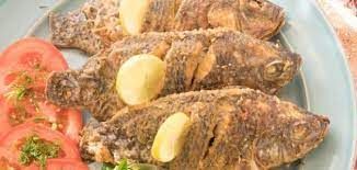 Fried Gilthead Bream Fish
