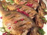 Gilthead Bream Fish