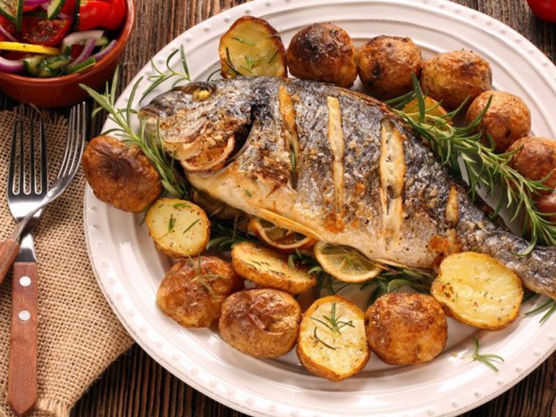 Gilthead Bream Fish