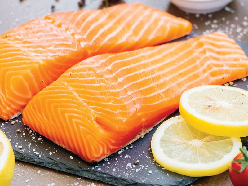 Salmon Fish