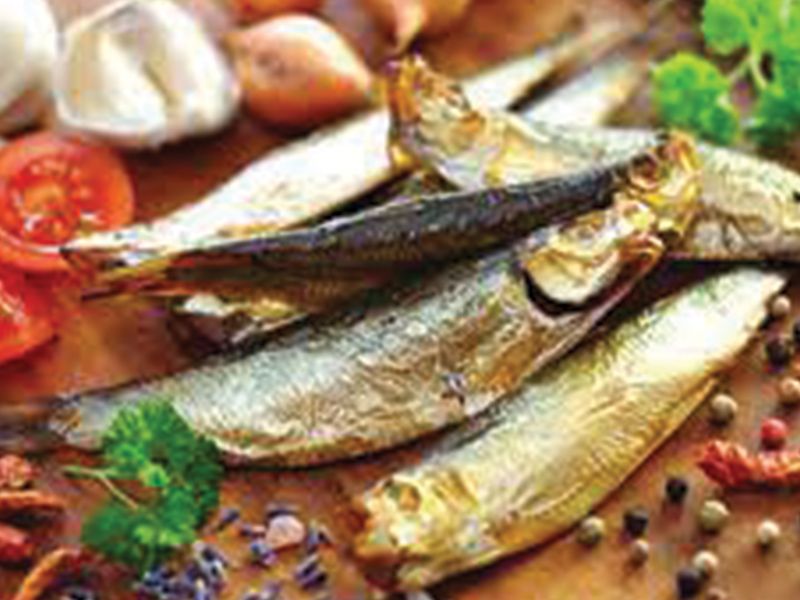 Coral Trout Fish