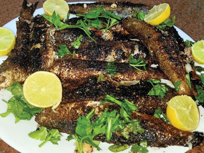 Keeled Mullet Fish