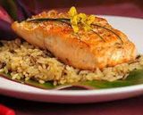 Fish Fillet Meal