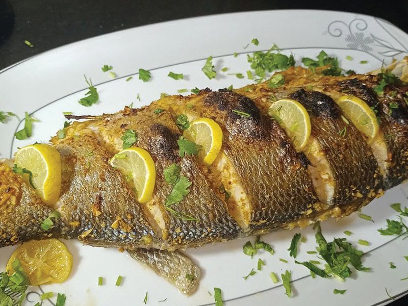 Sea Bass Fish