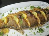 Sea Bass Fish