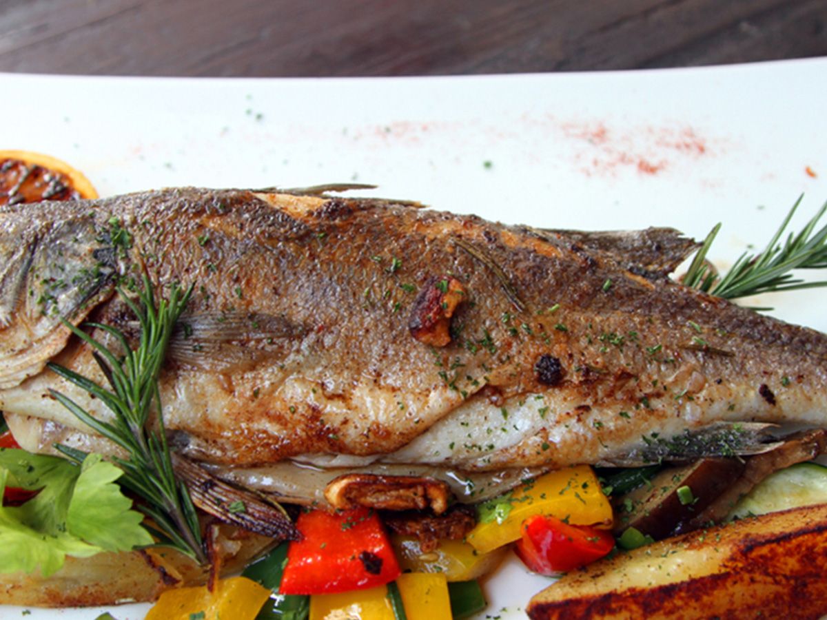 Sea Bass Fish