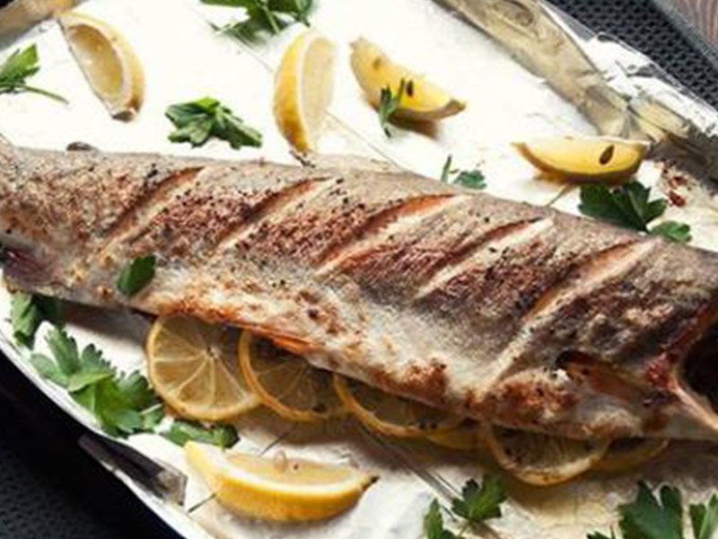Sea Bass Fish