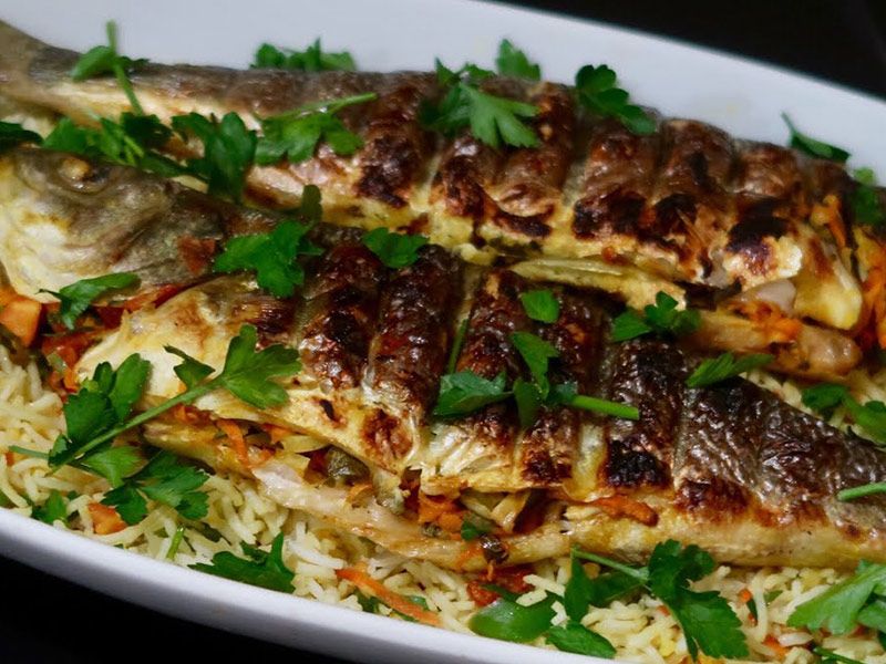 Singary Sea Bass
