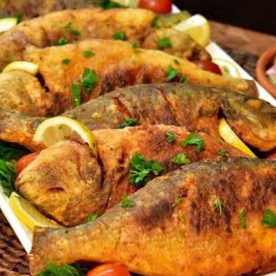 Sea Bass Fish bahry
