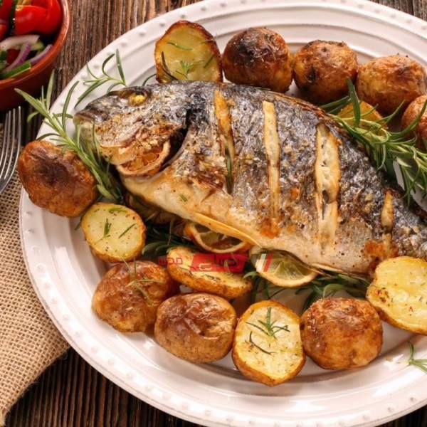 Zander Fish 1 Kilo