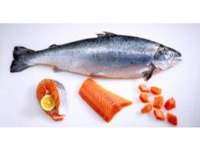 Gezal Lats Fish
