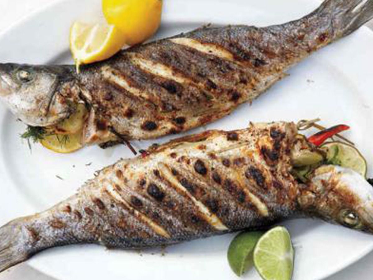 Croaker Fish
