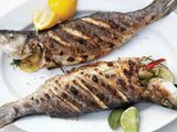Croaker Fish