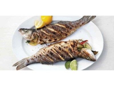 Croaker Fish