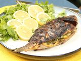 Croaker Fish